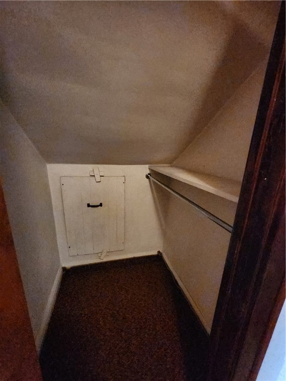 spacious closet with vaulted ceiling