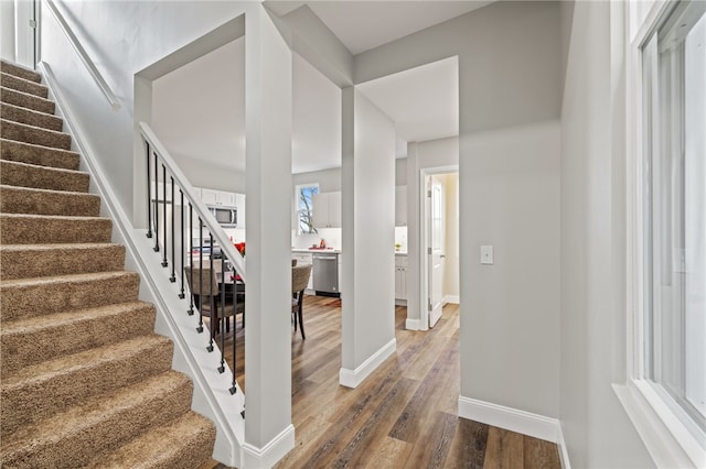 staircase with hardwood / wood-style flooring