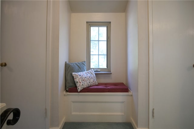 sitting room featuring carpet floors