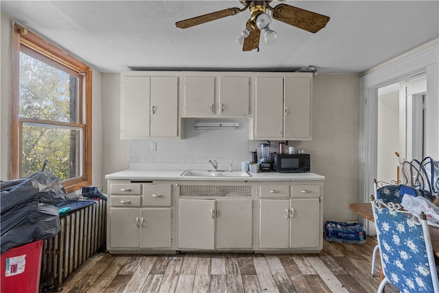 kitchen featuring sink, dark hardwood / wood-style floors, and plenty of natural light