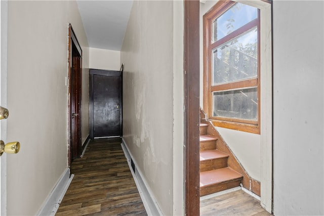 staircase with hardwood / wood-style flooring