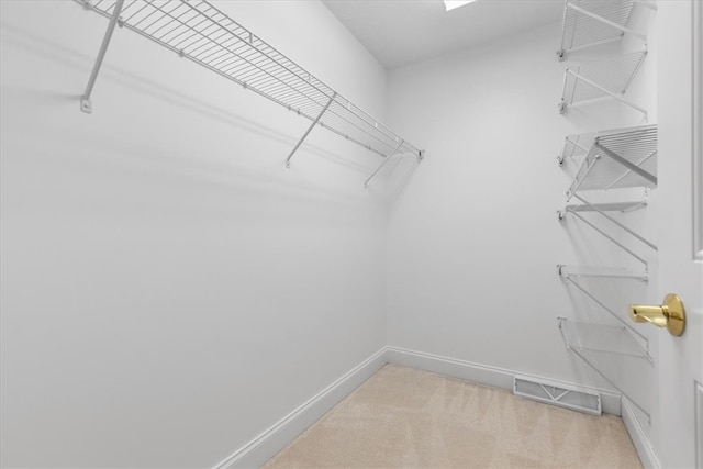 spacious closet featuring light colored carpet