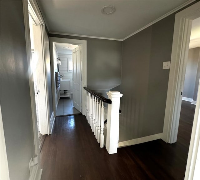 hallway featuring ornamental molding and dark hardwood / wood-style floors