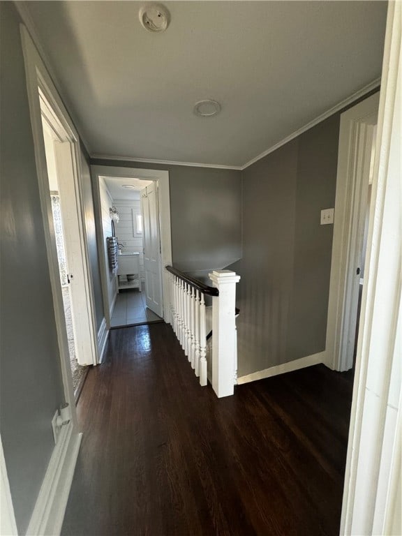 hallway with ornamental molding and dark hardwood / wood-style flooring