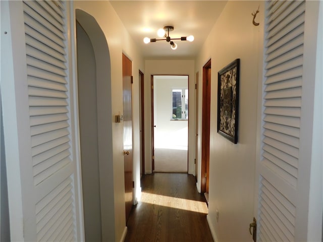 corridor featuring dark hardwood / wood-style flooring