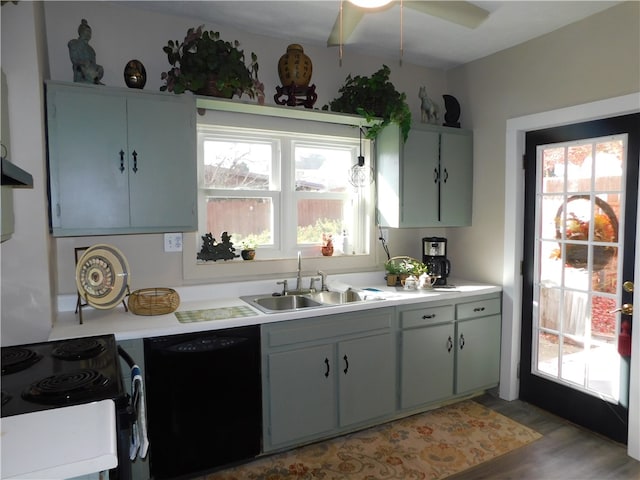 kitchen featuring hardwood / wood-style floors, black dishwasher, electric range, extractor fan, and sink