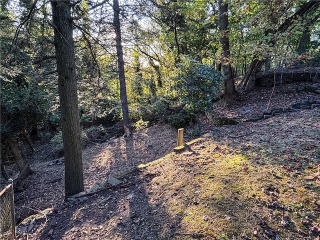 view of local wilderness