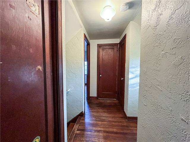 hall featuring dark wood-type flooring