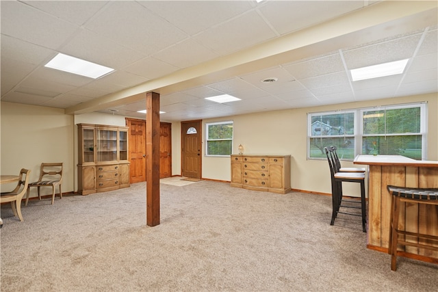 interior space with a drop ceiling and carpet floors