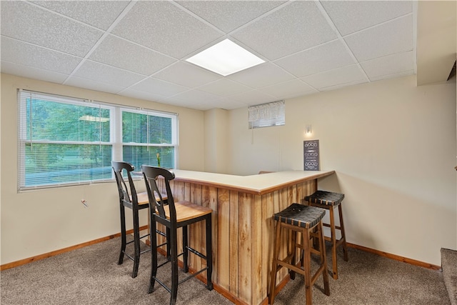 bar with a paneled ceiling and carpet floors