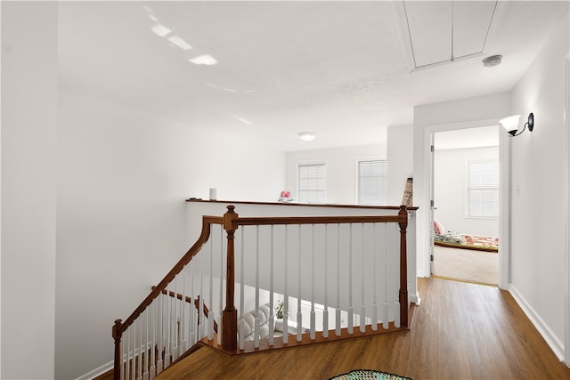 corridor with hardwood / wood-style floors