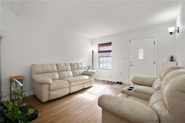 living room with hardwood / wood-style floors