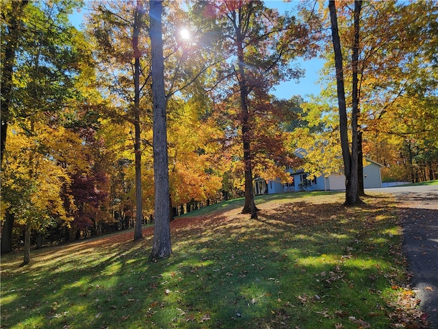 view of yard with a garage