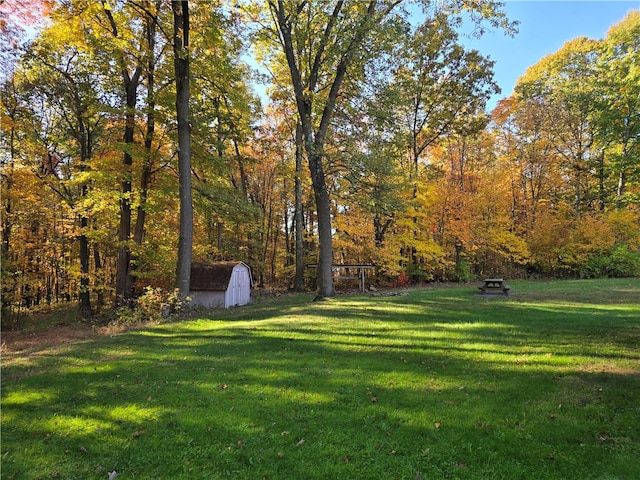 view of yard with a shed