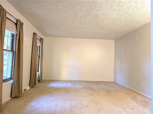 empty room with light carpet, a textured ceiling, and a healthy amount of sunlight