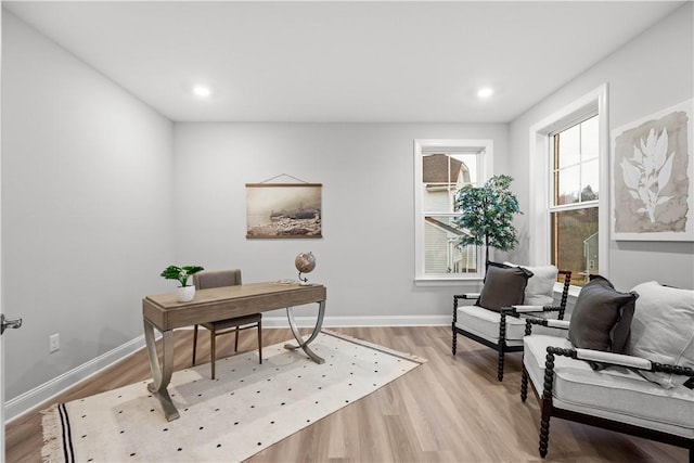 office featuring light wood-type flooring