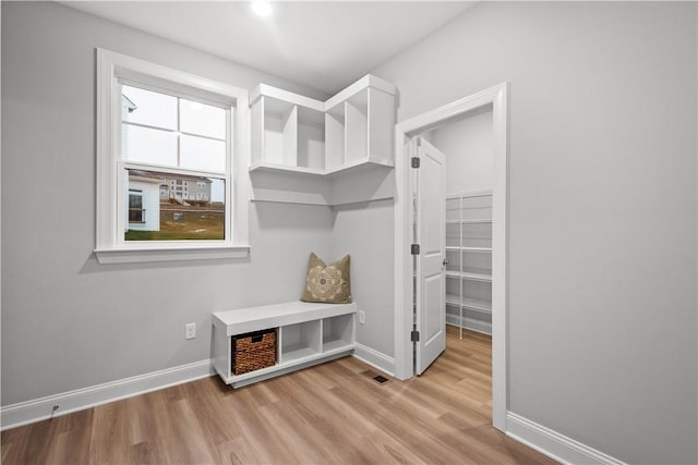 spacious closet featuring light wood-type flooring