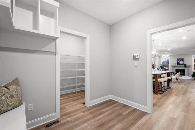 walk in closet with hardwood / wood-style floors