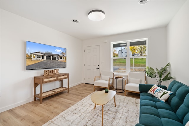 living room featuring hardwood / wood-style floors