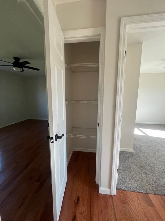 view of closet