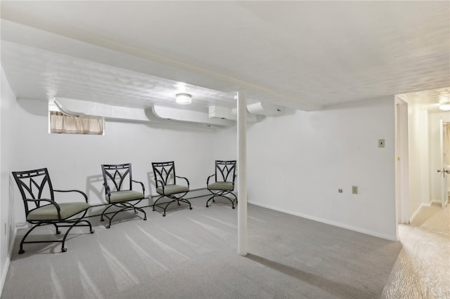 basement with carpet