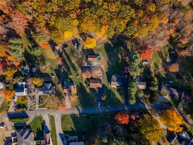 drone / aerial view