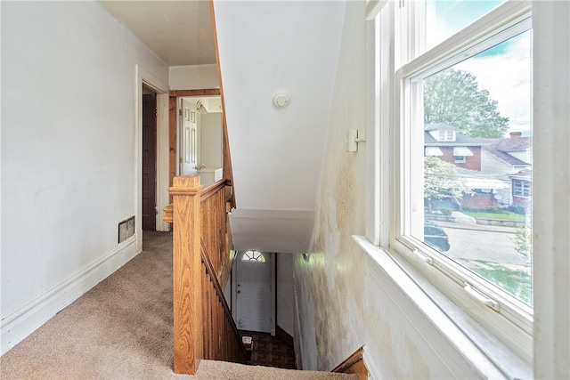 hallway with carpet and plenty of natural light