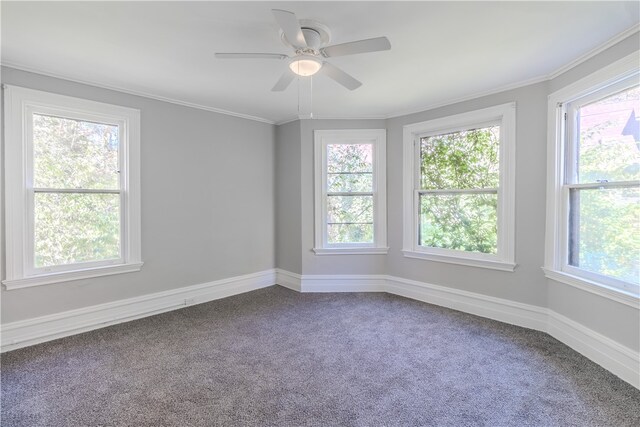 spare room featuring ornamental molding, carpet, and ceiling fan