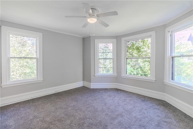 410 W Swissvale Ave, Edgewood, PA 15218 - unfurnished room with crown molding, a ceiling fan, baseboards, and carpet