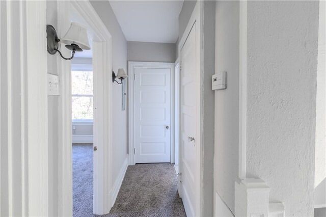 hallway featuring carpet floors