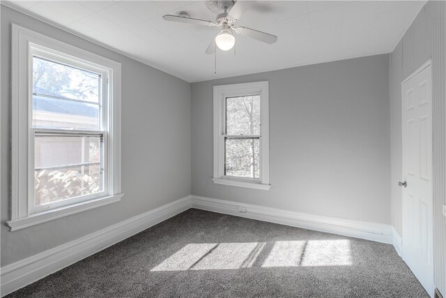 unfurnished room featuring ceiling fan, carpet, and plenty of natural light