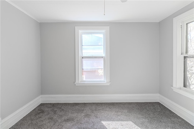 bonus room with a wealth of natural light and carpet