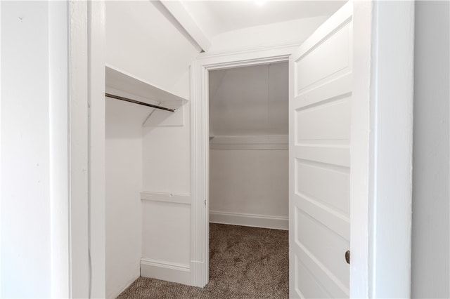 view of closet