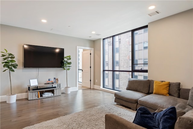 living room featuring wood-type flooring