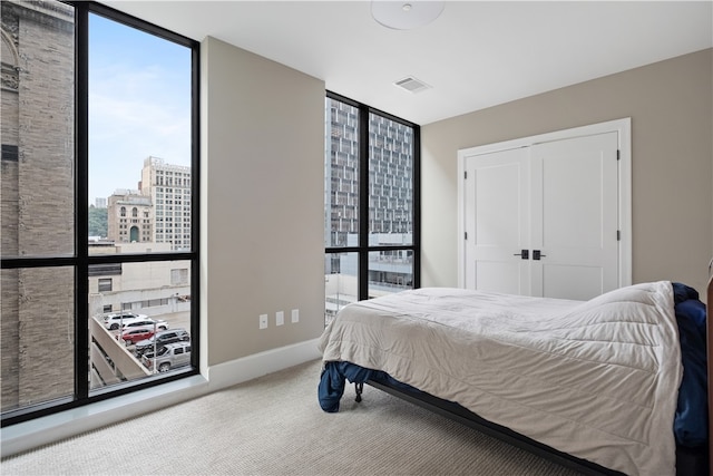 carpeted bedroom featuring a closet, multiple windows, and floor to ceiling windows