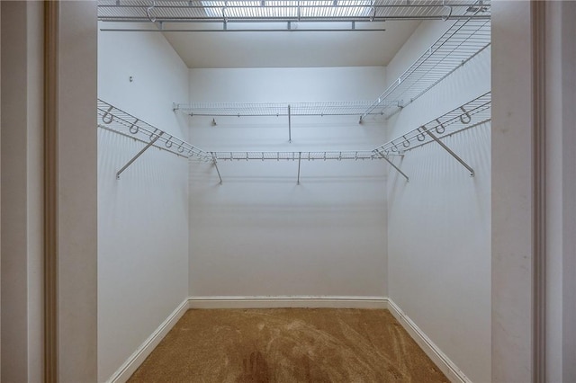 151 Fort Pitt Blvd Unit 401, Downtown Pgh, PA 15222 - walk in closet with carpet