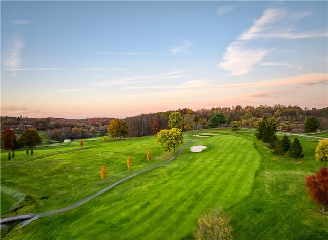 surrounding community with a lawn