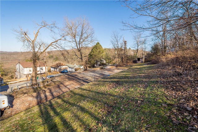 view of yard with a rural view