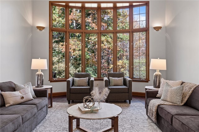 living room featuring hardwood / wood-style flooring and a healthy amount of sunlight