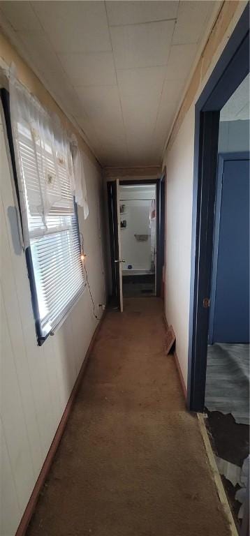 hallway with carpet floors