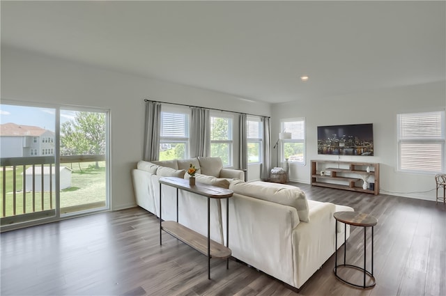 living room with hardwood / wood-style flooring