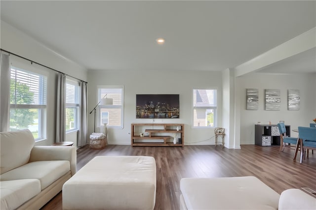 living room featuring wood-type flooring