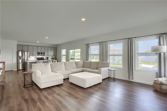 living room featuring dark hardwood / wood-style floors