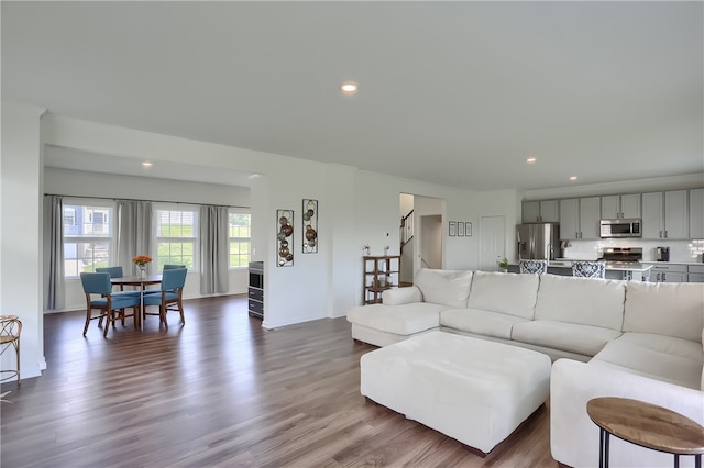 living room featuring hardwood / wood-style floors