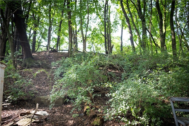 view of local wilderness