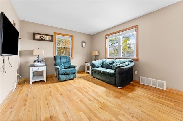 living room featuring light hardwood / wood-style floors and a wealth of natural light