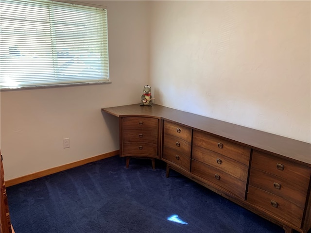 interior space with dark colored carpet