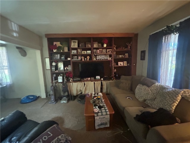 view of carpeted living room