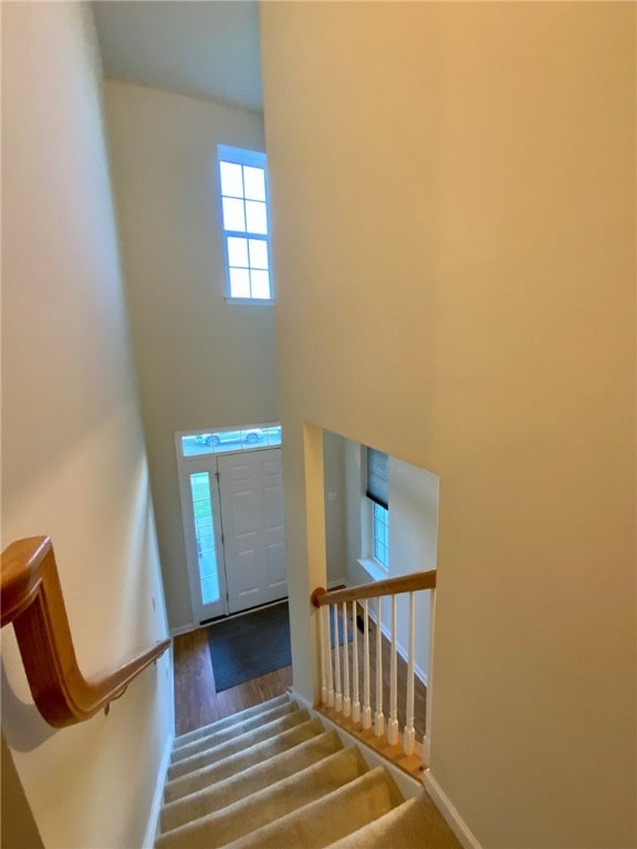 entryway with wood-type flooring