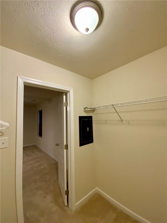 spacious closet featuring electric panel and light colored carpet